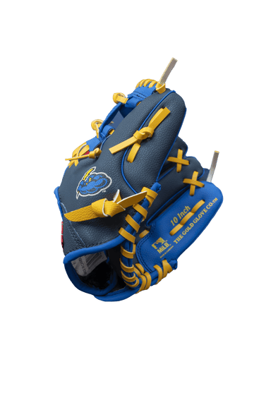 Youth Rawlings Catching Baseball Glove