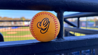 Trenton Goldens Baseball