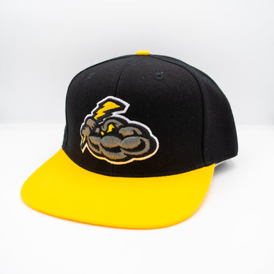Black Slice '47 Brand Clean Up Adjustable Hat – Trenton Thunder