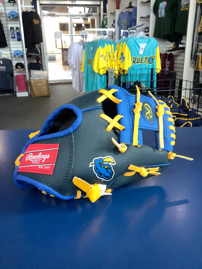 Youth Rawlings Catching Baseball Glove